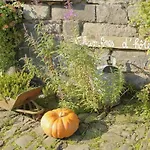 Le Clos De La Fontaine 4*